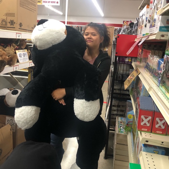 Meet your Posher, Destiny - Picture 8 of 8